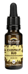 [BI156] 07 - Chestnut Bud - Bourgeons marronnier - bio - 20 ml